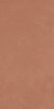 Керамогранит Argillae Coral Rect 60х120