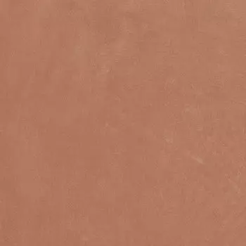 Керамогранит Argillae Coral Rect 60х60