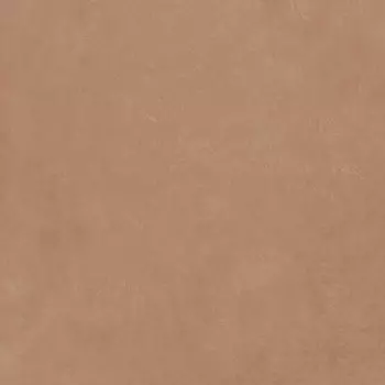 Керамогранит Argillae Gobi Rect 120х120