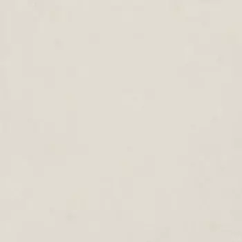 Керамогранит Argillae Neve Rect 120х120