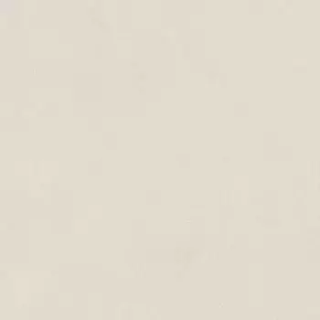 Керамогранит Argillae Neve Rect 60х60