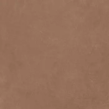 Керамогранит Argillae Terra Rect 120х120