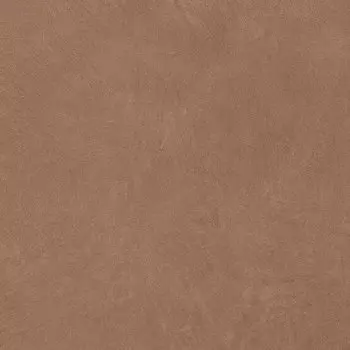 Керамогранит Argillae Terra Rect 60х60