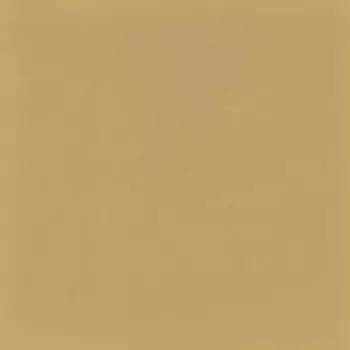 Керамогранит D_Segni Colore Mustard 20x20