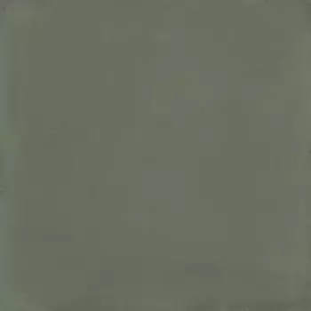 Керамогранит D_Segni Mud 20х20