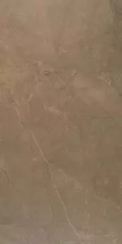 Керамогранит Evolutionmarble Bronzo Amani Lux Rett. 29х58