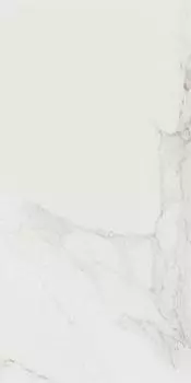 Керамогранит Evolutionmarble Calacatta Lux Rett. 29х58