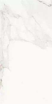 Керамогранит Evolutionmarble Calacatta Rett. 30х60