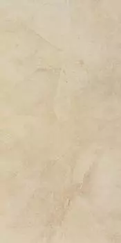 Керамогранит Evolutionmarble Golden Cream Lux Rett. 29х58