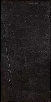 Керамогранит Evolutionmarble Nero Marquina Lux Rett. 29х58