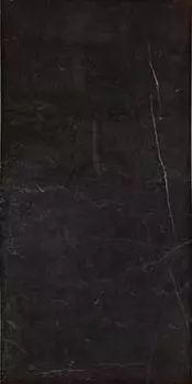 Керамогранит Evolutionmarble Nero Marquina Rett. 30х60