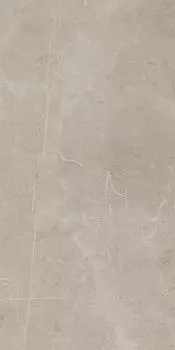 Керамогранит Evolutionmarble Tafu Lux Rett. 29х58