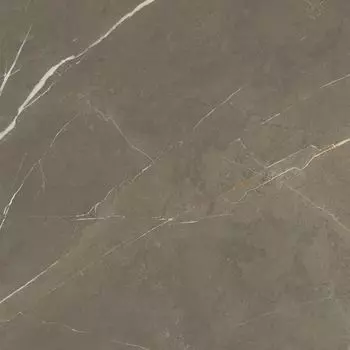 Керамогранит Marmochic Дымчатый Жемчуг FLPR 10mm 60х60