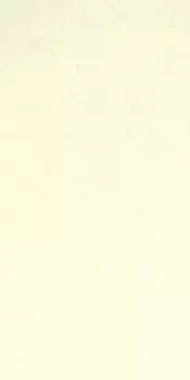 Керамогранит Neutro Bianco Rett. 30х60