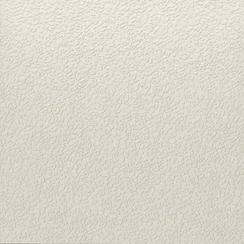 Керамогранит Nisus Neve Rect 60х60