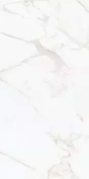 Керамогранит Nocturne White Gold FLPR 60х120