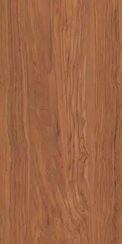 Керамогранит Олива коричневый обрезной 60х119,5