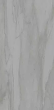 Керамогранит Palissandro Серый ЛПР 30х60