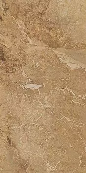 Керамогранит Привиледж Миеле Рет 60х120