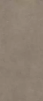 Керамогранит Scs Spectra Mushroom Gv 120х278х6