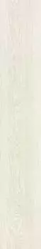 Керамогранит Treverk White Rett. 20х120