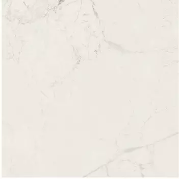 Керамогранит Victorian Marble White 7FLPR 60х60