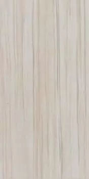 LT02 30x60 Полир.Рект.