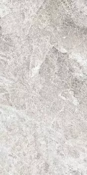 PC02 30x60 Полир.Рект.