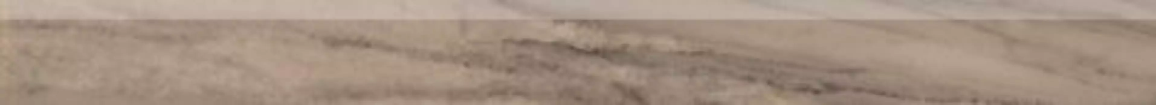 Плинтус Palissandro Коричневый 7х60