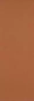 Плитка Colourline Orange 22х66,2