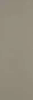 Плитка Colourline Taupe 22х66,2