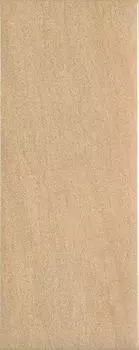 Плитка Globe Miel 20х50