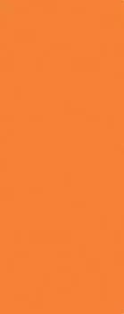 Плитка Городские цветы оранжевый 20х50