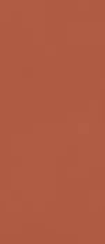 Плитка Grande Resin Look Rosso Cold Satin 120х278