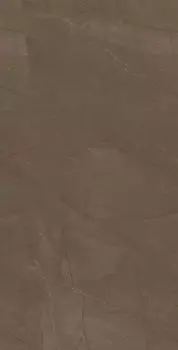Плитка Pulpis Brown W M 31x61 NR Glossy 1