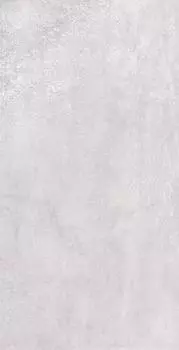 Плитка Urban Silver M 31x61 NR Glossy 1