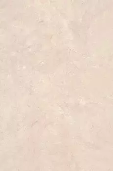 Плитка Вилла Флоридиана беж светлый 20х30