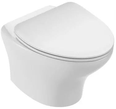 Унитаз подвесной безободковый Jacob Delafon Nouvelle Vague EDK102-00 белый