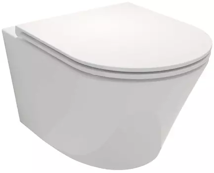 Унитаз подвесной безободковый Jacob Delafon Rodin+ EDY102-00 белый