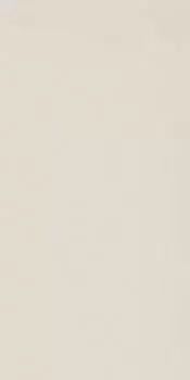 RW01 30x60 Непол.