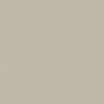 RW031 60x60 Полир.