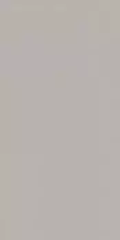 RW03 30x60 Непол.