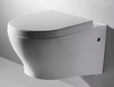 Унитаз подвесной Bravat Rael C01017UW-A-ENG с сиденьем микролифт