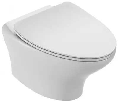 Унитаз подвесной Jacob Delafon Nouvelle V EDJ102-00