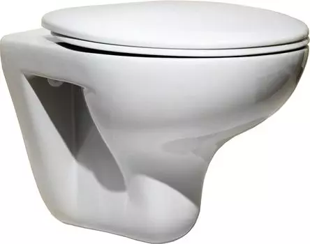 Унитаз подвесной Roca Mateo 346200000