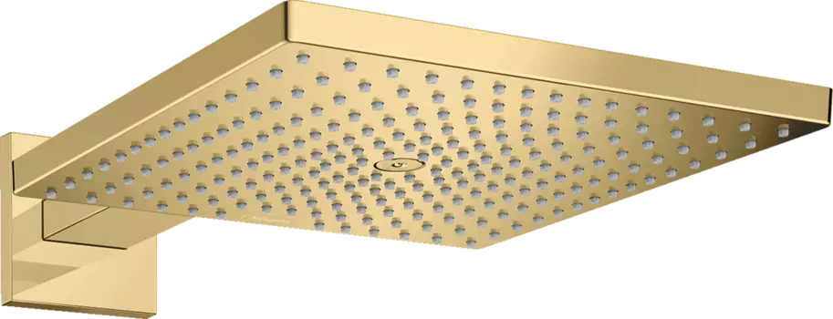 Верхний душ Hansgrohe Raindance E 300 1jet 26238990, полированное золото