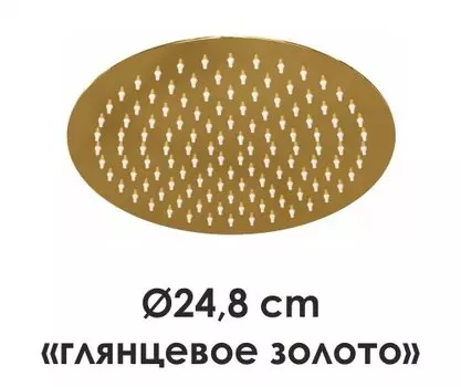 Верхний душ Wasserkraft Sauer A208 золото