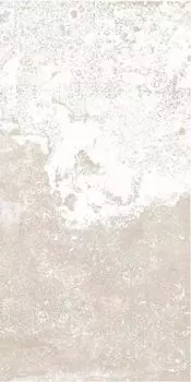 VZ02 30x60 Непол.Рект.