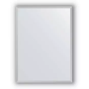 Зеркало в багетной раме Evoform Definite BY 1004 56 x 76 см, сталь