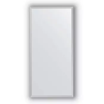 Зеркало в багетной раме Evoform Definite BY 1049 46 x 96 см, сталь